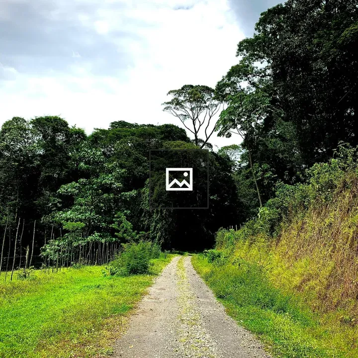 Winding gravel path through field