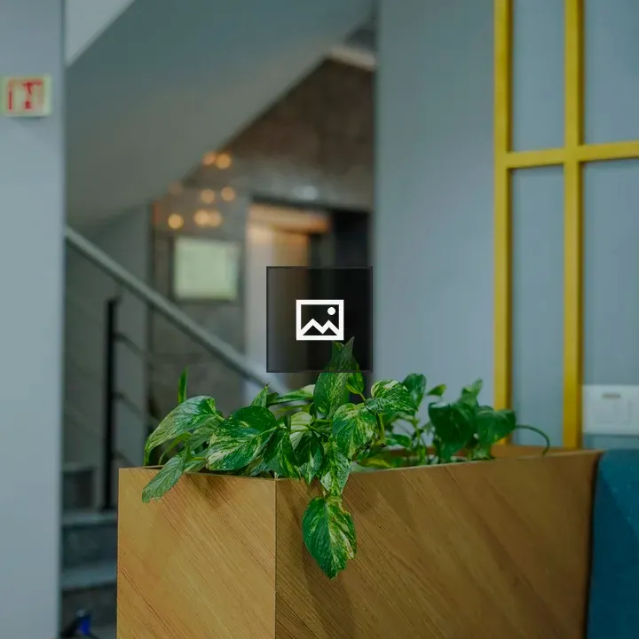 Indoor plant in a room