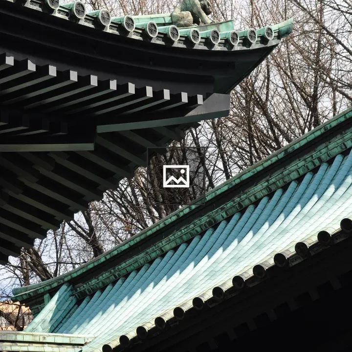 Roof eves of a temple in Tokyo