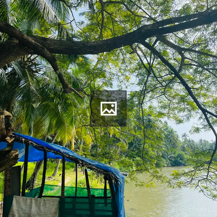Tree and shelter by river