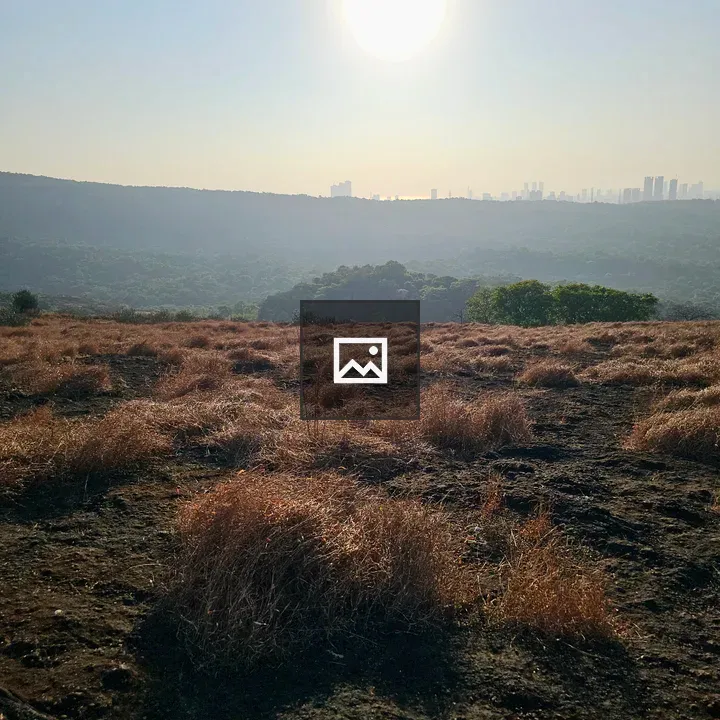 Hillside Grassland with City View