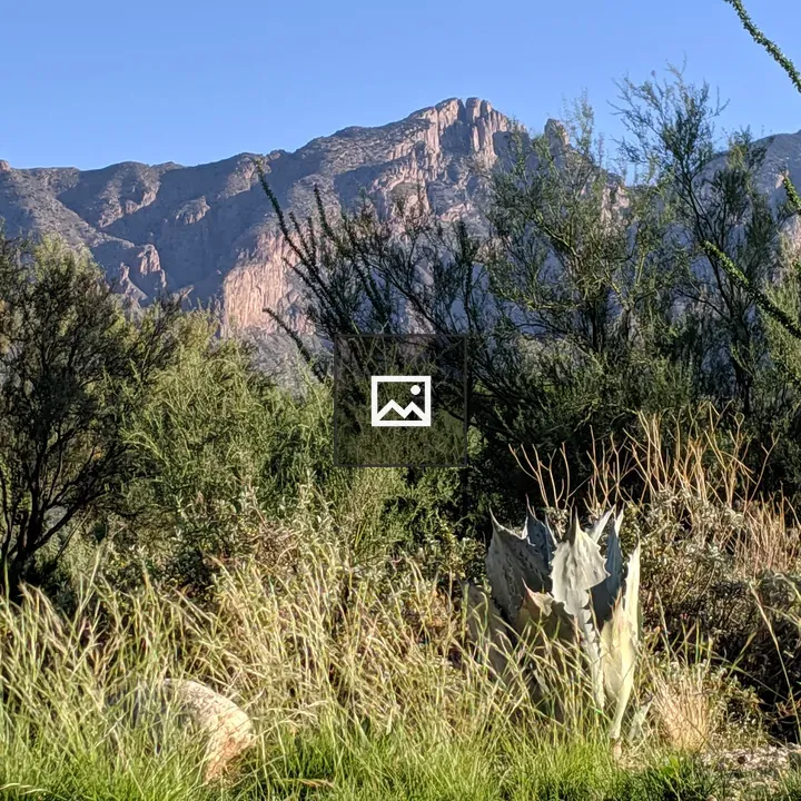 Arizona desert and mountains