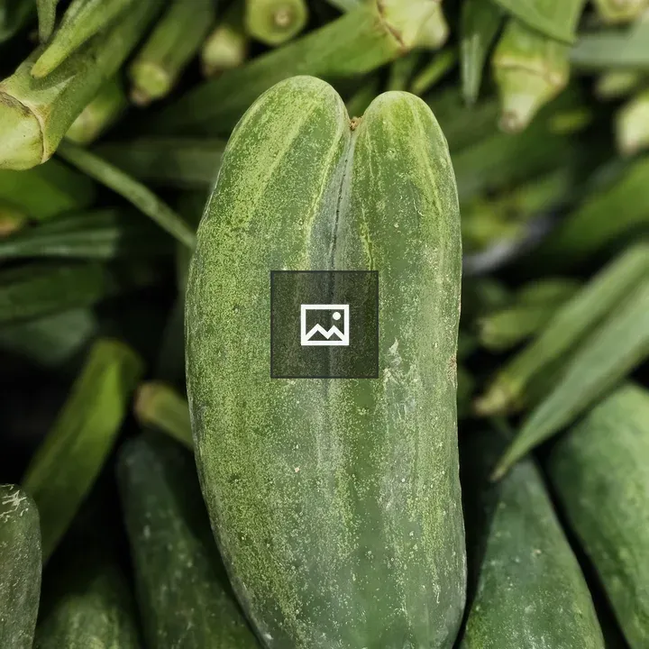 Double-shaped cucumber at rural market