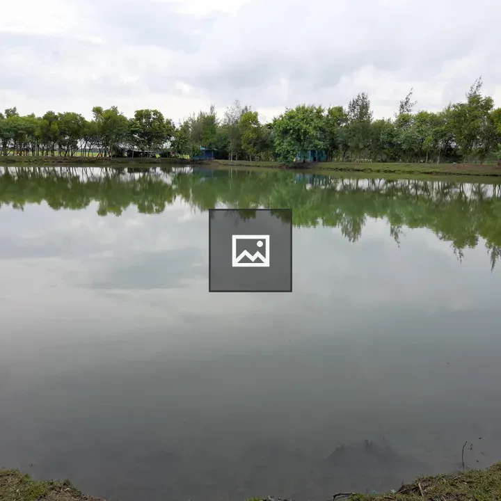 Beautiful pond in Bangladesh