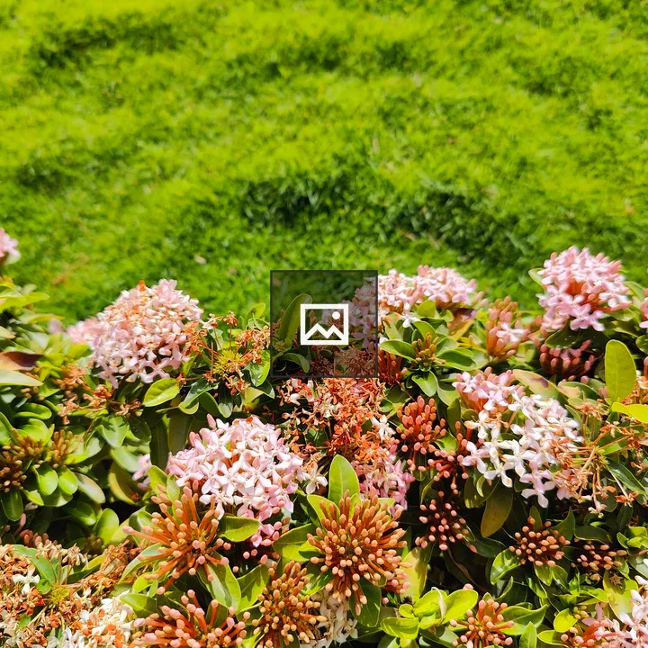 Flowers and Grass Friends