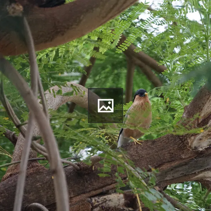 Small bird on a tree branch