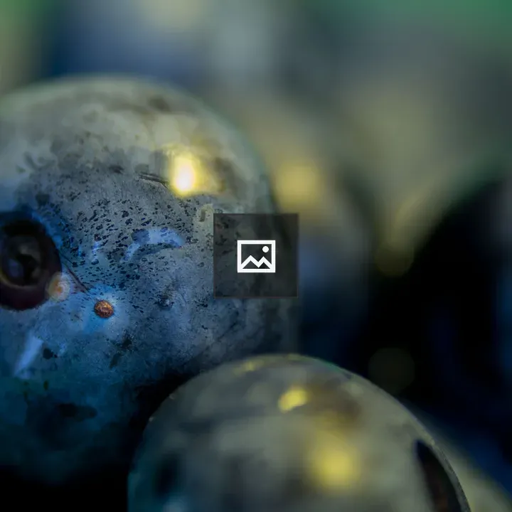 Blueberry Up Close