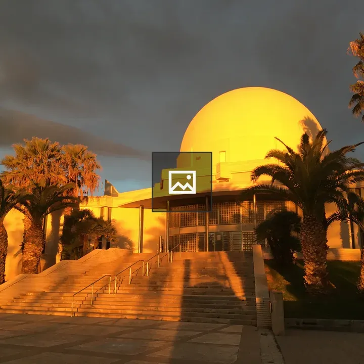 Dome-shaped Building with Palm Trees