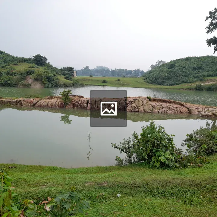 Pond landscape with trees