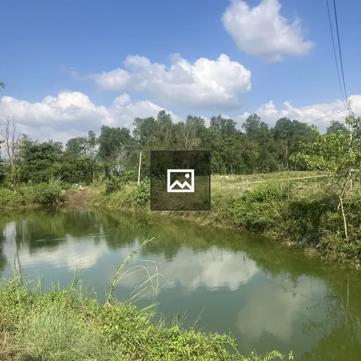 Calm River Scene