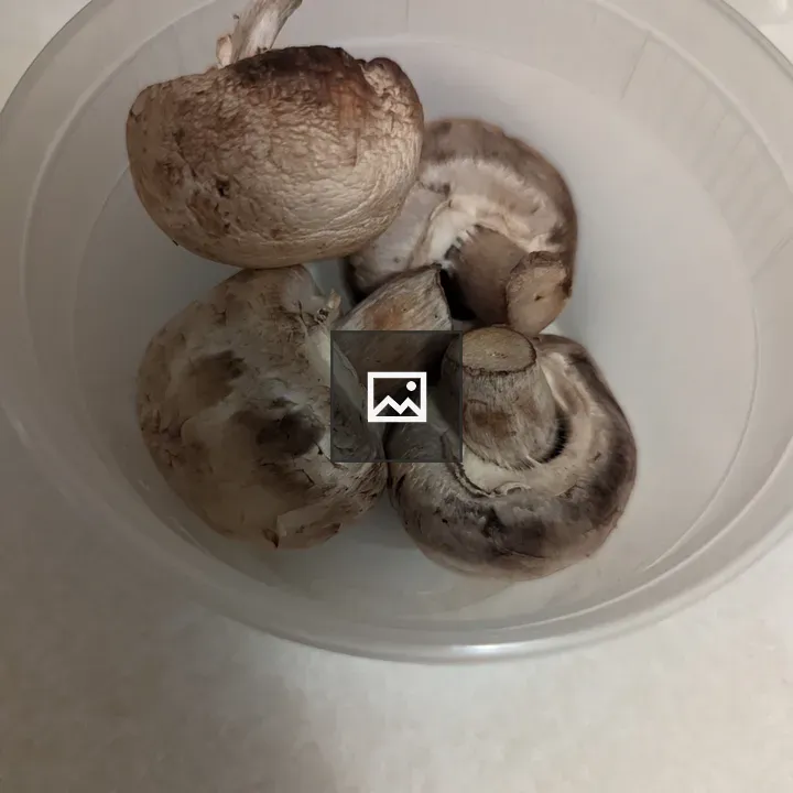 Four mushrooms in a container