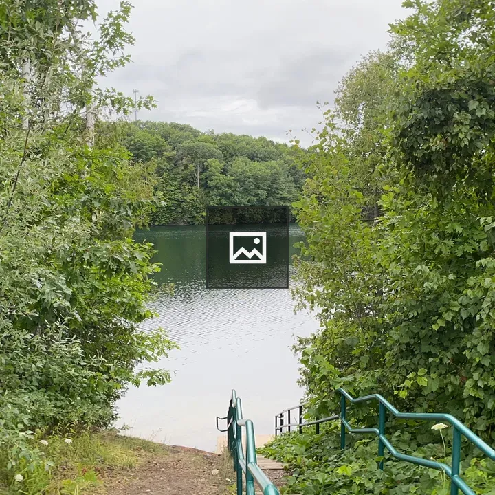 Lake Path in the Forest