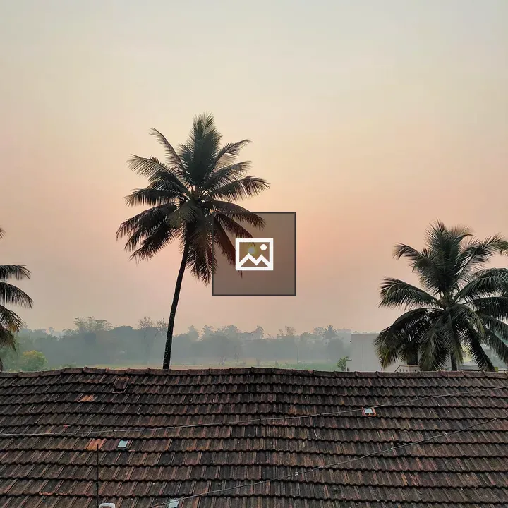 Sunrise Behind Coconut Tree