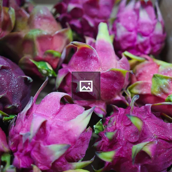 Purple dragon fruit