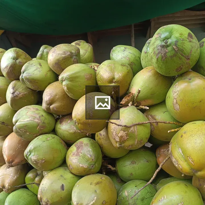 Coconuts in Outdoor Market