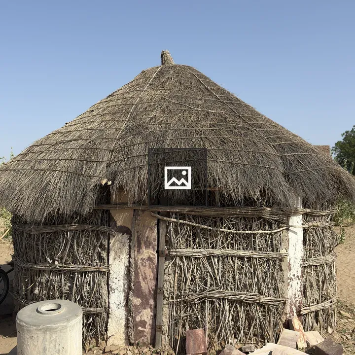 Hut with woven branches against sky