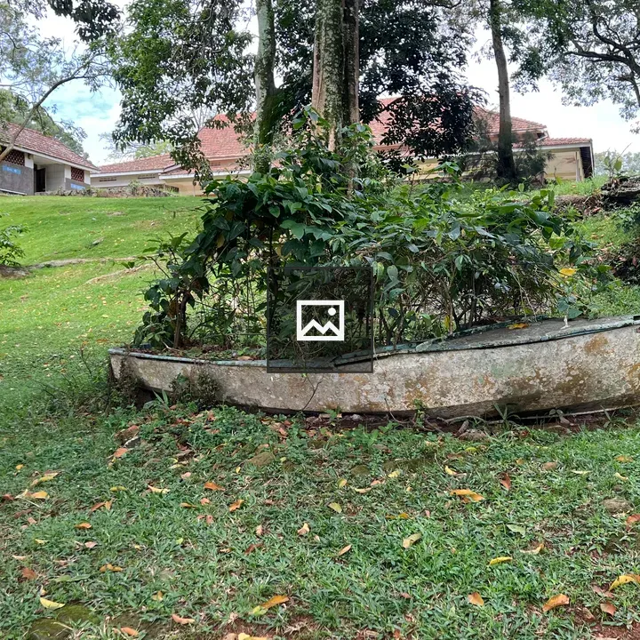 Old Abandoned Boat with Vegetation