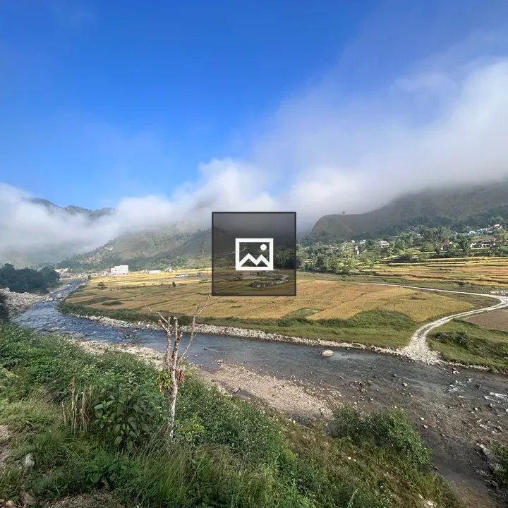 Paddy Field in Syangja during festival