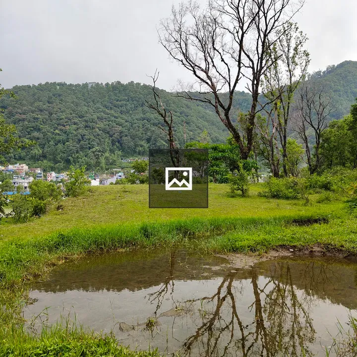 Pond Landscape with Reflections