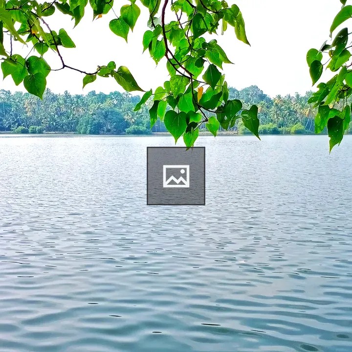 Ripples on Lake with Leaves