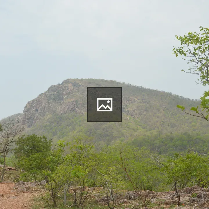Hills and Tree