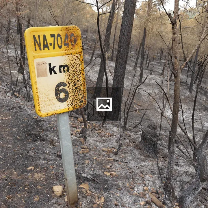 Incendio en Navarra