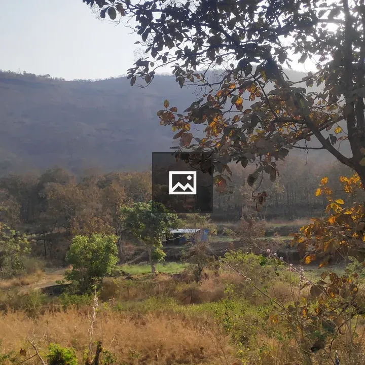 Hill landscape with trees