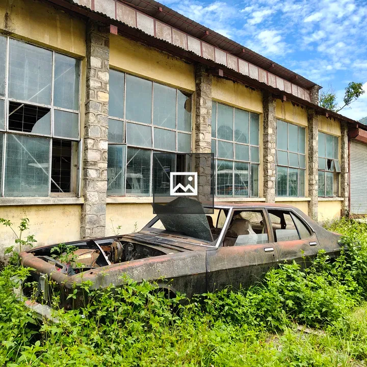 Abandoned Rusting Car with Vegetation