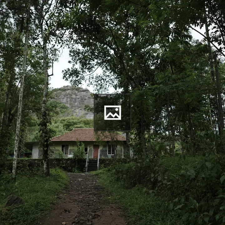 Old house in a forest