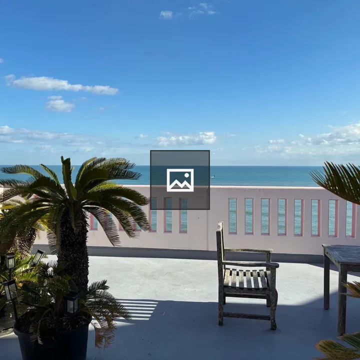 Rooftop Terrace with Potted Palms