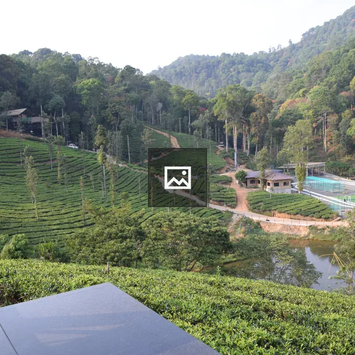 View from Kadkani Resort Pool Area