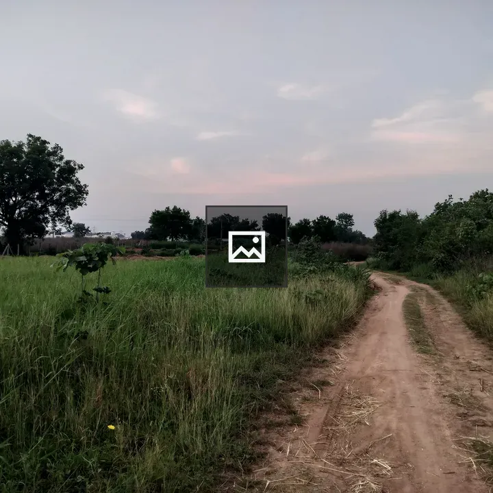 Countryside road scene