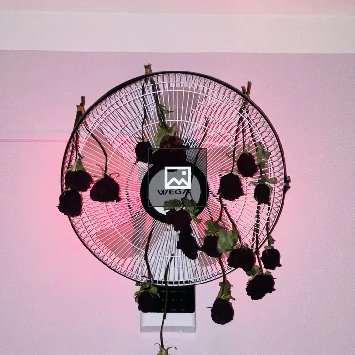 Wall-mounted fan with rose decor