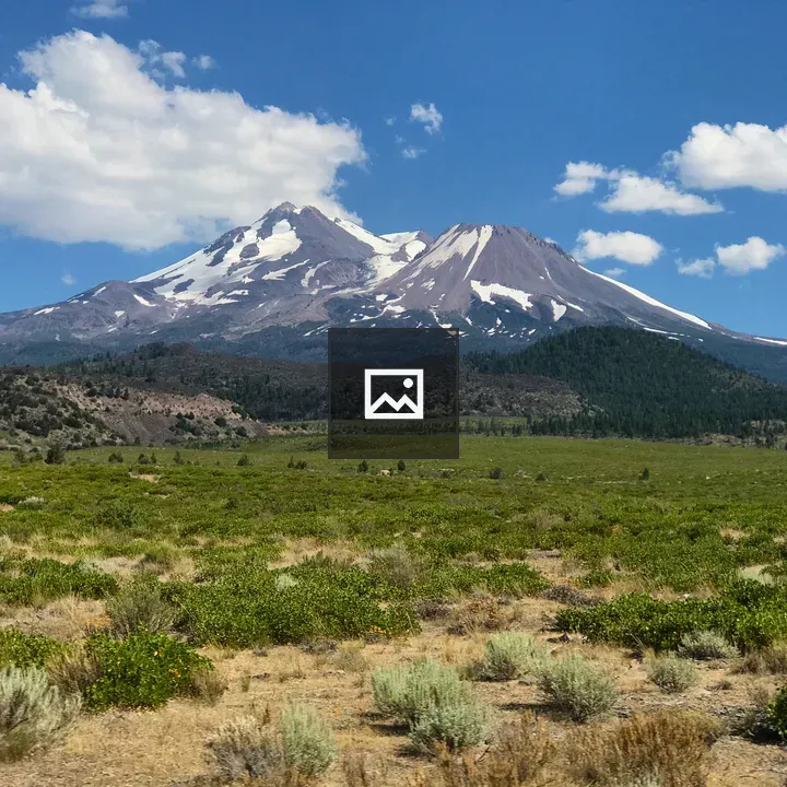 Green fields in front of Mount Shasta