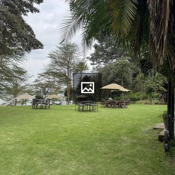 Lawn, Tables, and Umbrella by Lake