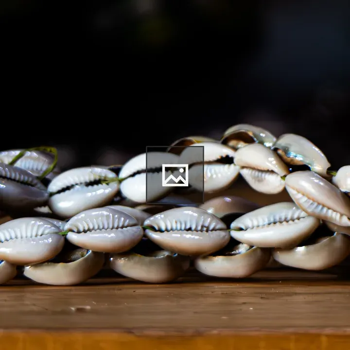 Handcrafted shell bracelet
