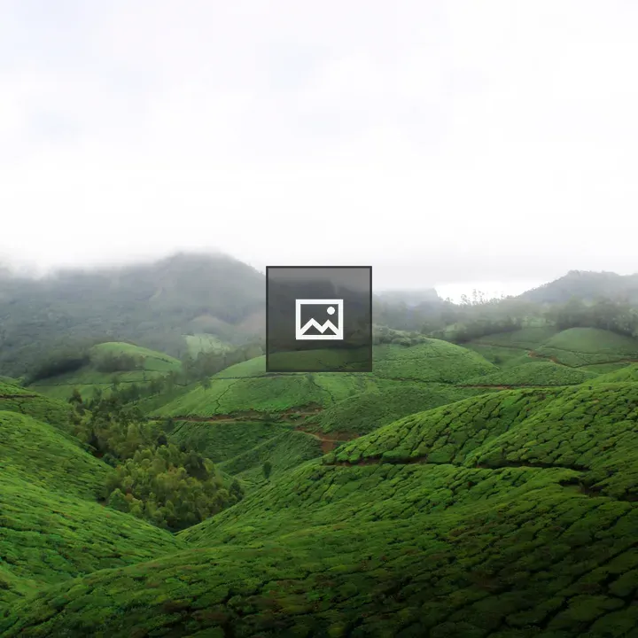 Green hillside with fog