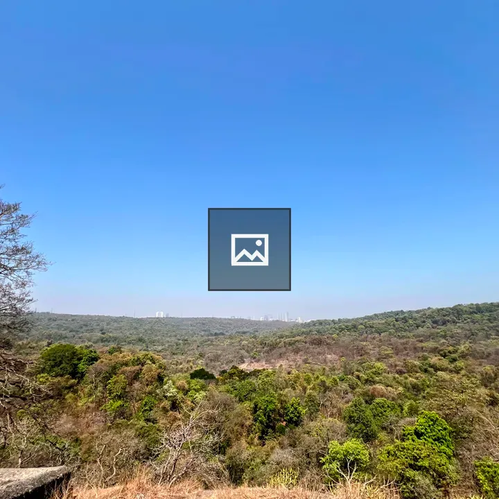 Forest valley with distant city skyline