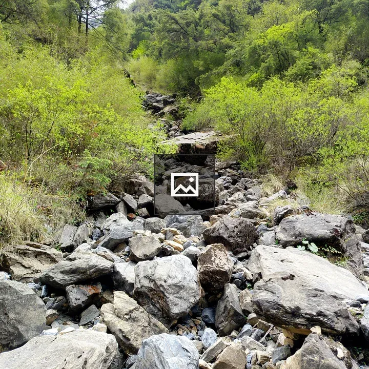 Rocky mountain path with stones