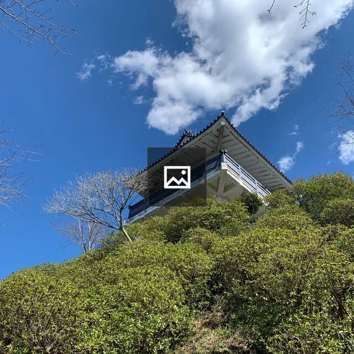Majestic pagoda on hill