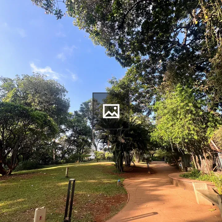 Curved Path Through Park