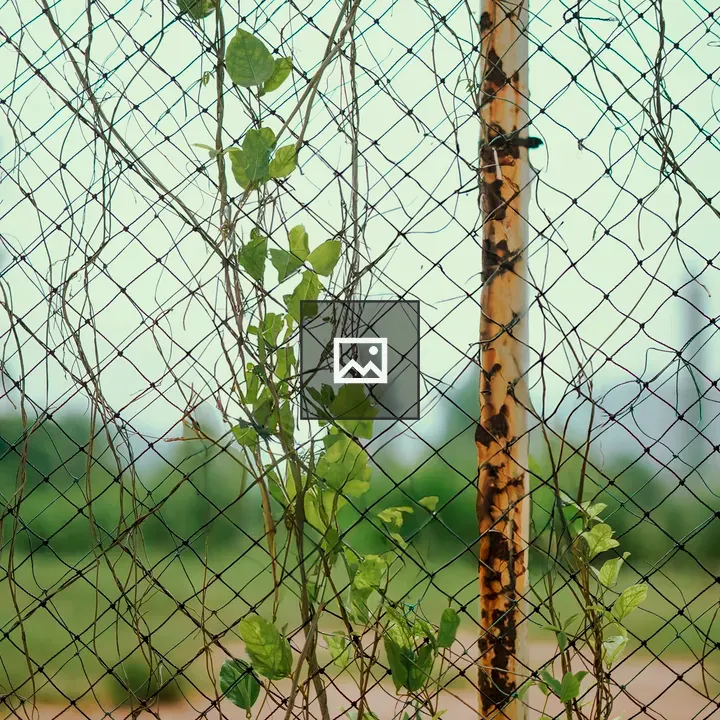 Fresh green leaves entangled into net