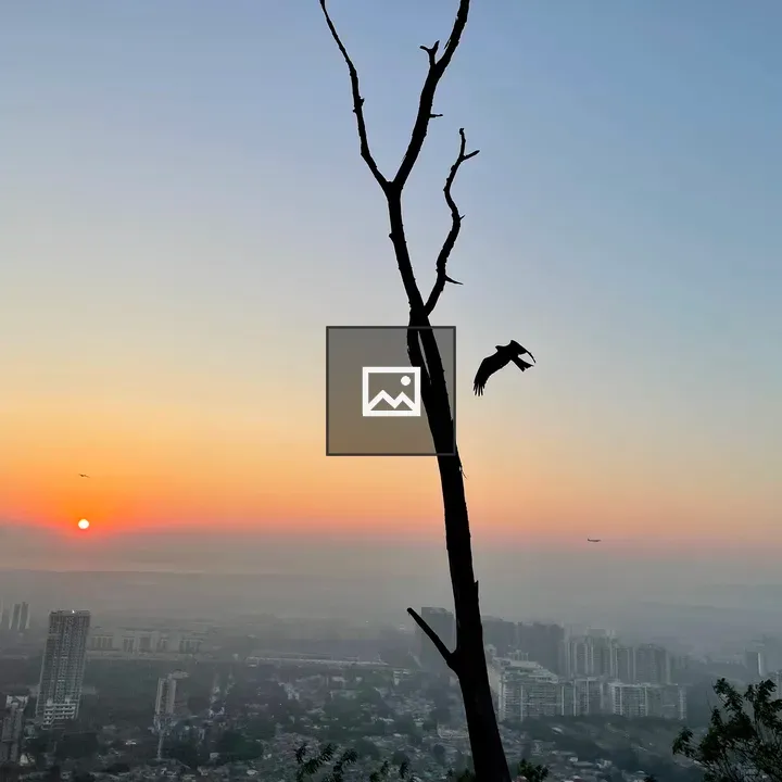 Sunrise with Bird over Orange Clouds