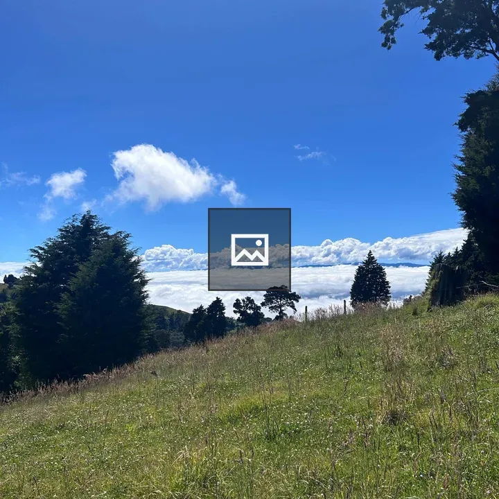 Grassy Landscape under Blue Sky