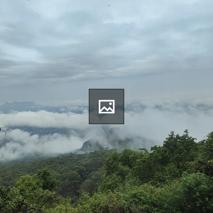 Forest with Mist and Clouds