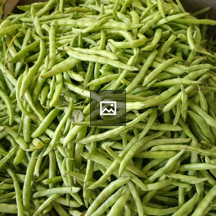 Green beans close-up