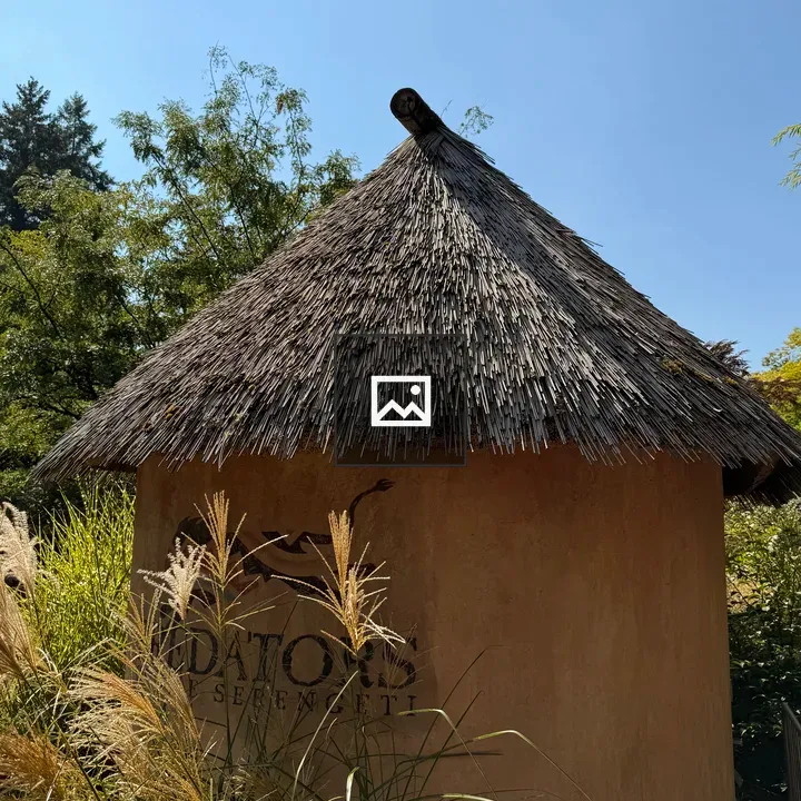 Round clay hut with thatched roof