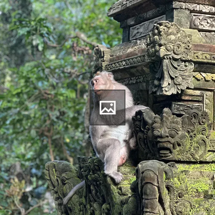 Monkey on Moss-Cculpted Stone