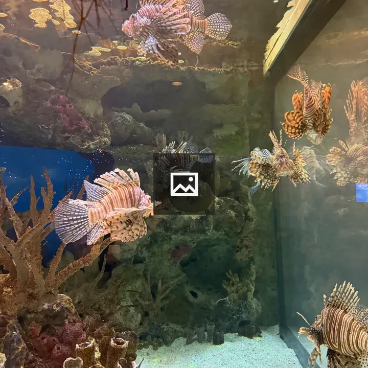 Lionfish in Aquarium Scene