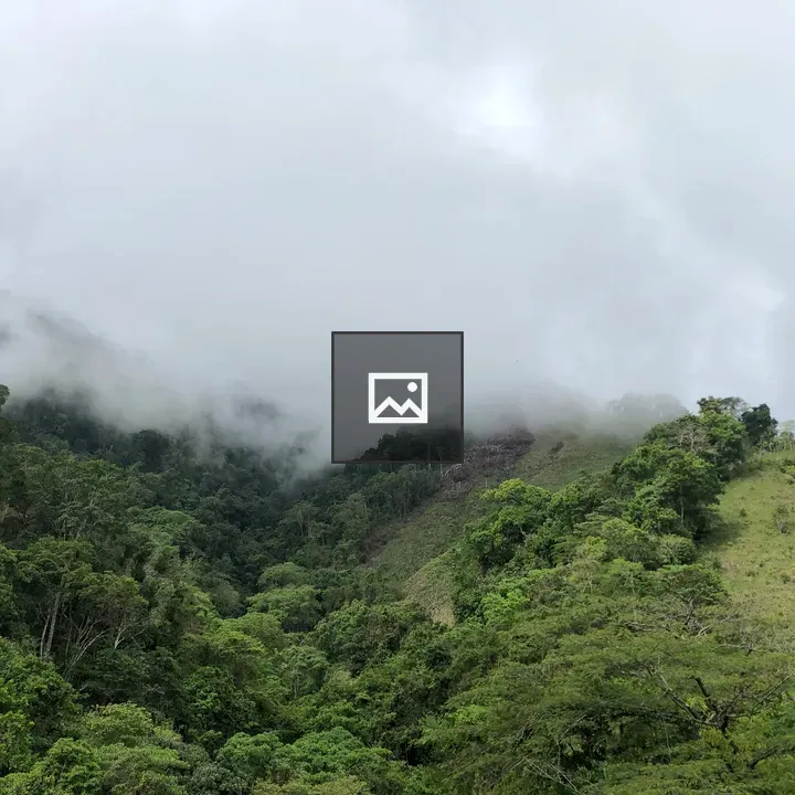 Green Mountain Landscape